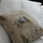 شقة Fortuna 7